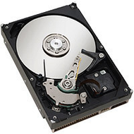 Seagate ST3160021A Barracuda 7200.7