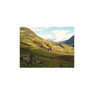 S�dtirol