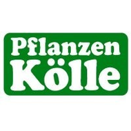 Pflanzen K�lle