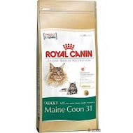 Royal Canin Maine Coon 31 4 kg