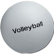 Volley Volleyball
