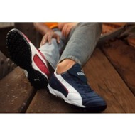 Puma Mestre