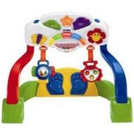 Chicco Baby Gym Duo