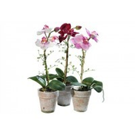Kunstpflanze Orchidee