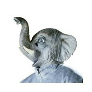 Tiermaske Elefant