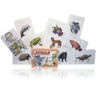 Adlung-Spiele Manimals Australien & Neuseeland 1
