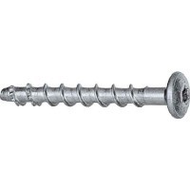 Fischer FBS 6/5 P (100 Stk.)