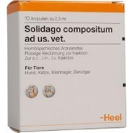 Biologische Heilmittel Heel Solidago compositum ad us. vet. Ampullen