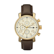 Fossil Vintaged Bronze DE5009