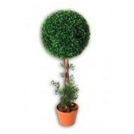Kunstpflanze  Efeu-Kugel-Baum