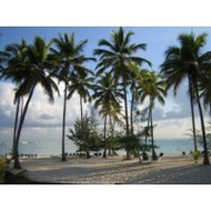Hotel Barcelo Bavaro Beach
