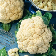 Blumenkohl-Samen