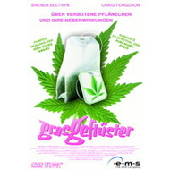 Grasgefl�ster