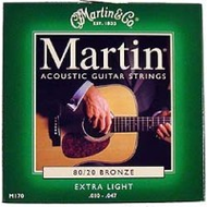 Martin M 170 Saiten
