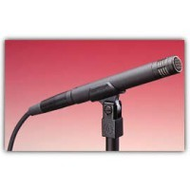 Audio-Technica AT4041
