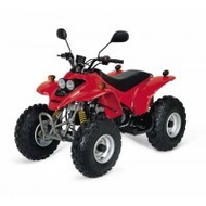 Rex Quad�50