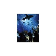 Sea Life Speyer