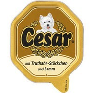 Cesar mit Truthahn-St�ckchen und Lamm