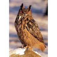Wildpark Johannism�hle