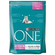 Purina One Junior