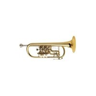 Scherzer 8217