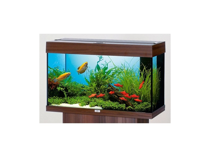 Juwel Aquarium Rio 180 Preisvergleich - Testberichte und günstige