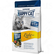 Happy-cat-fit-well-light