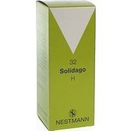 Nestmann-pharma-solidago-h-32-tropfen-100-ml