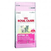 Royal-canin-kitten-36-2-kg