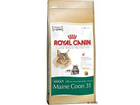 Royal-canin-maine-coon-31-4-kg