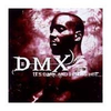 It-s-dark-and-hell-is-hot-dmx