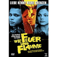 Wie-feuer-und-flamme-dvd-drama