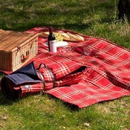Steiner-bade-und-picknickdecke