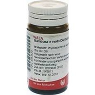 Wala-bambusa-e-nodo-d6-globuli-20-g