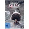 Jurassic-shark-dvd