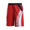 Chiemsee-surfshort-bull