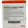 Heel-berberis-vulgaris-injeele