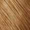 Goldwell-topchic-haarfarbe-10-gb-saharablond-pastellblond