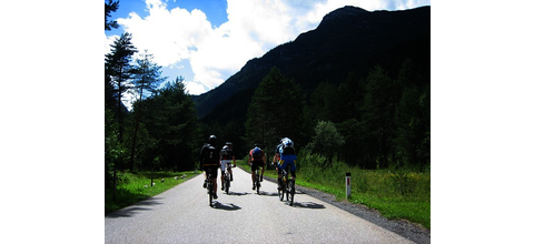 Fahrräder & Bikes