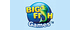 big-fish-games