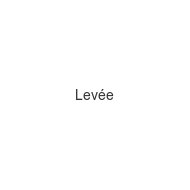 levee