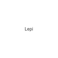 lepi