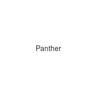 panther