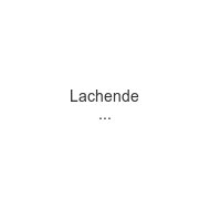 lachende-koechin