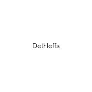 dethleffs