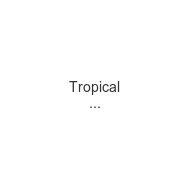 tropical-concept-sarl