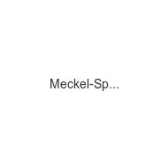 Meckel-Spenglersan meckel-spenglersan