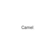 camel
