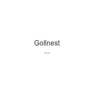 gollnest-kiesel