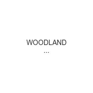 woodland-scenics